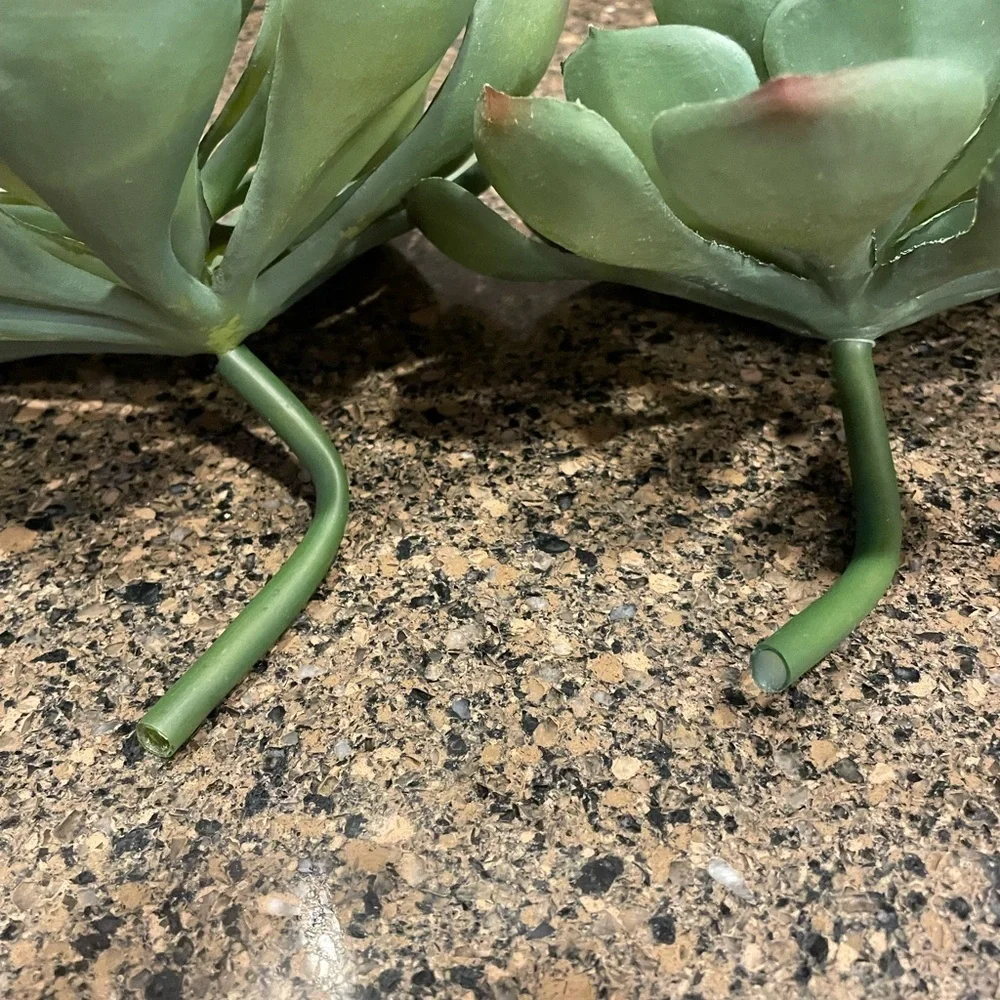 Pottery Barn Succulent Stems set of two